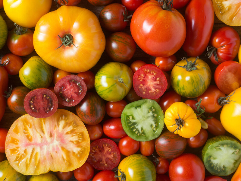 Як професійно зібрати насіння з помідора, і що буде, якщо восени закопати у ґрунт цілий плід Як професійно зібрати насіння з помідора, і що буде, якщо восени закопати у ґрунт цілий плід