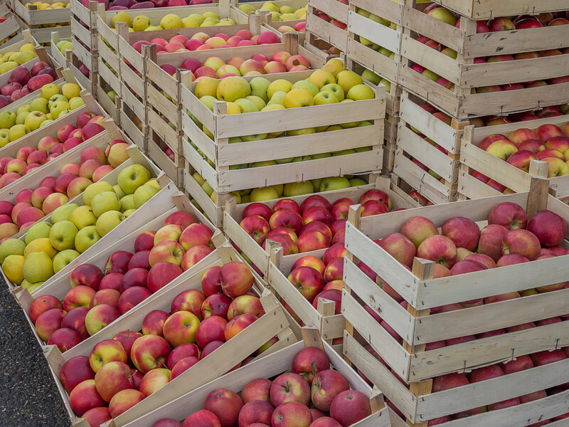 Досвідчені садівники завжди кладуть це на дно кожного ящика – і яблука не псуються до весни. Лайфхак