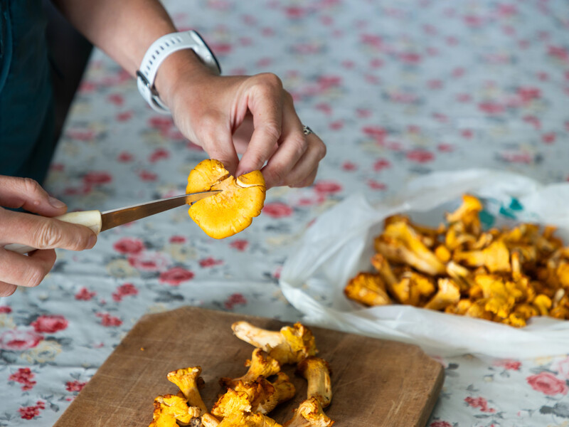 Щоб ідеально почистити гриби, не потрібні руки – просто залийте їх цим розчином. Перевірений спосіб