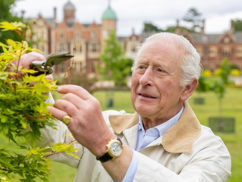 У стилі кежуал із палицею в руках. Букінгемський палац показав нове фото Чарльза ІІІ на честь його 77-річчя