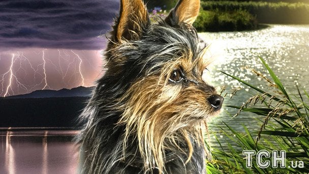 Погода 26 листопада: синоптикиня вказала на особливість завтрашнього дня