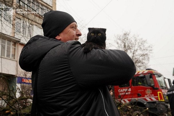 Тернопільські рятувальники повернули господарям двох котів після вибуху (фото та відео)