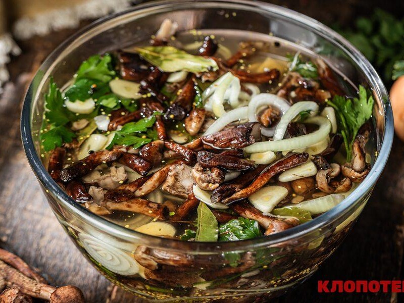 Скільки часу настоювати квашені опеньки? Рецепт із точними пропорціями