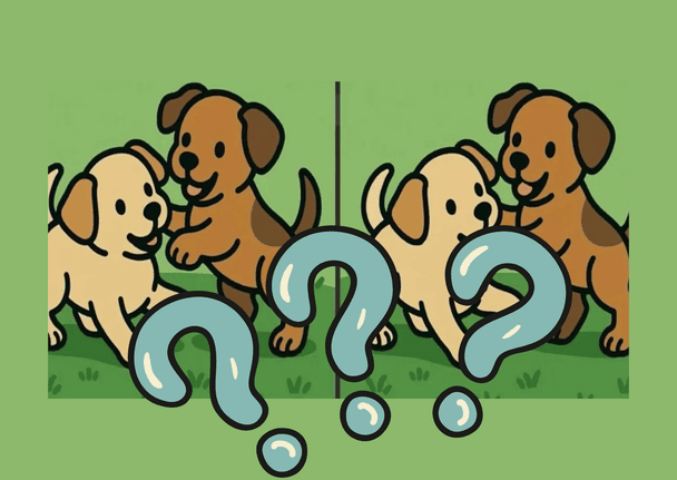 Знайдіть 3 відмінності за 51 секунду і перевірте, чи ваш мозок працює як комп’ютер