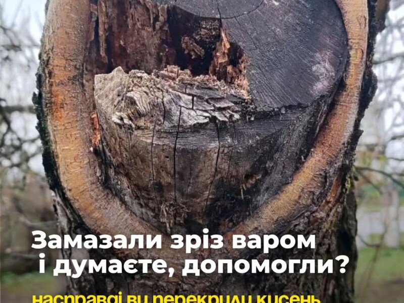 Ось чому досвідчені садівники більше не використовують садовий вар для оброблення зрізів. Поради та лайфхаки