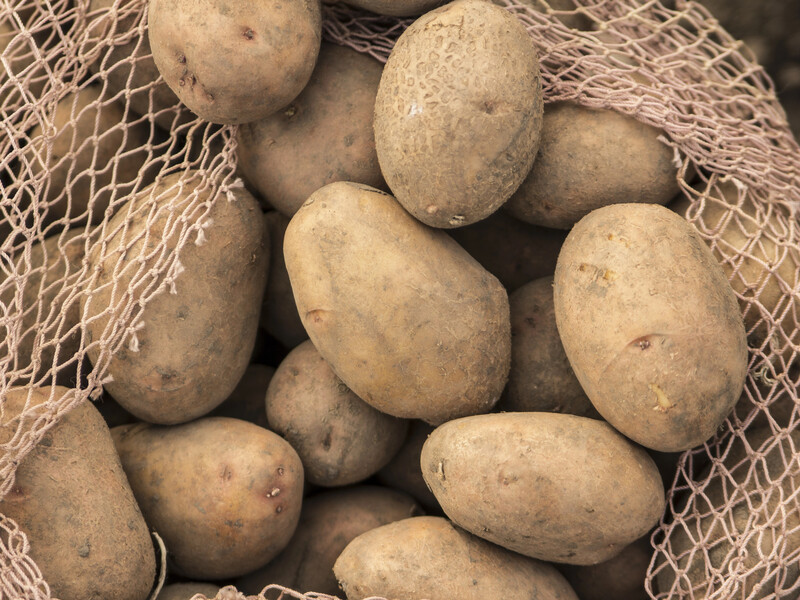 Досвідчені городники завжди кладуть це поряд із картоплею. Зробіть так само – і збережете урожай до весни