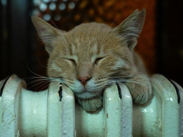 Як зробити батареї теплішими взимку: трюк, який змушує радіатори сильніше гріти навіть за -25