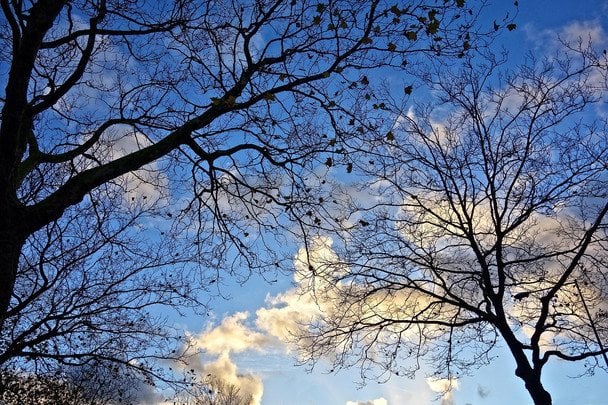 Якою буде погода в останні дні осені: прогноз на 29-30 листопада