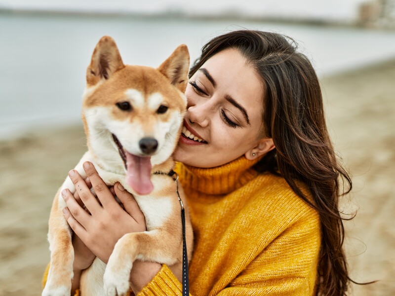 Якщо ви гуляєте із собакою менше часу – це помилка. Названо оптимальну тривалість прогулянки