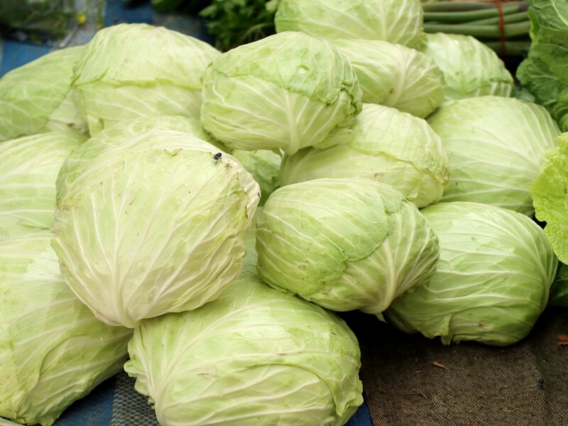 Припудріть цим кожну головку капусти – і вона не псуватиметься в погребі. Лайфхак Припудріть цим кожну головку капусти – і вона не псуватиметься в погребі. Лайфхак