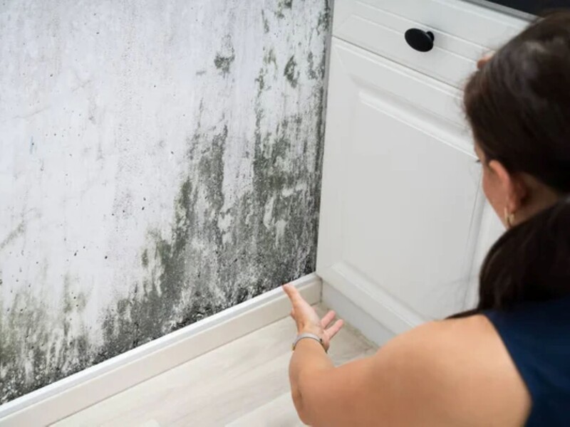 Змішайте це з оцтом – і від цвілі на стінах не залишиться й сліду. Лайфхак без хімії