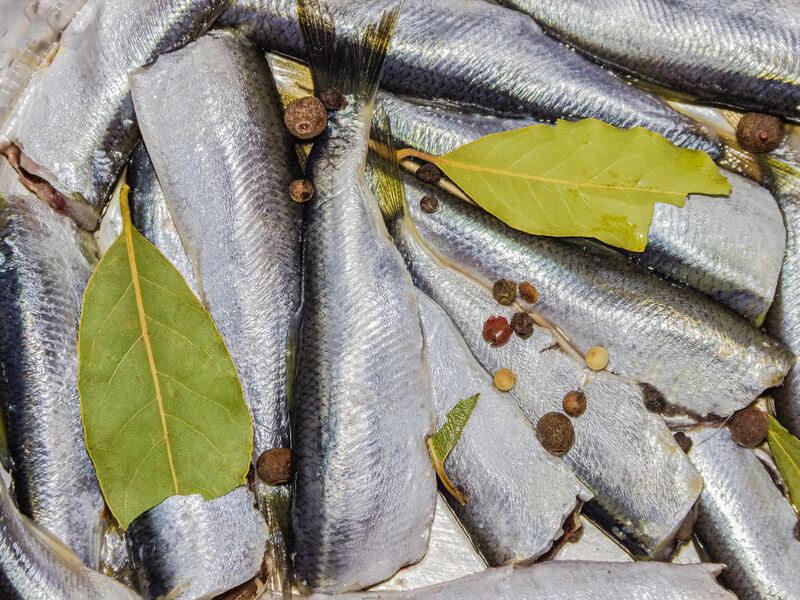 Додайте тільки це – й оселедець буде готовий за три дні. Рецепт сухого маринаду