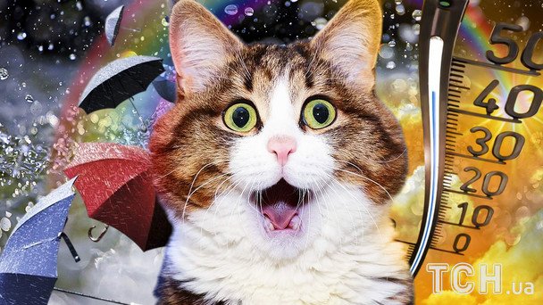 Прогноз погоди на 26 листопада: де буде до +17, а де дощитиме