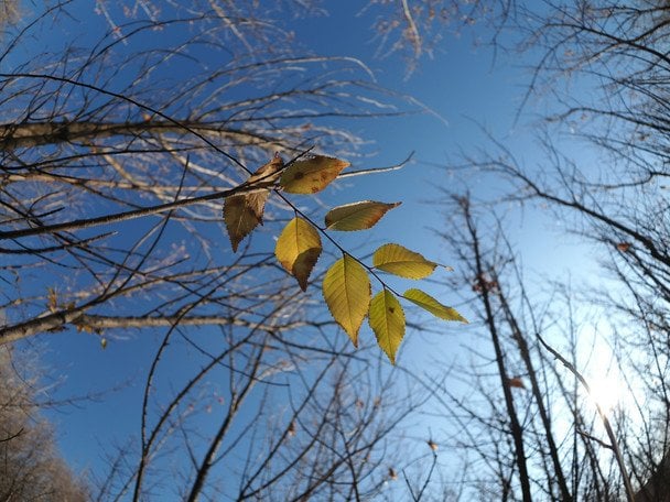 Погода на 27 листопада: де буде дощ та нічний мороз