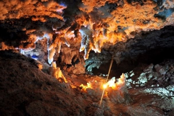 У підводній печері знайшли вимерлих істот льодовикового періоду: який вигляд мають