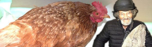 Дідусь з куркою «зірвав» Мережу: що відомо про чоловіка, який врятувався від обстрілів