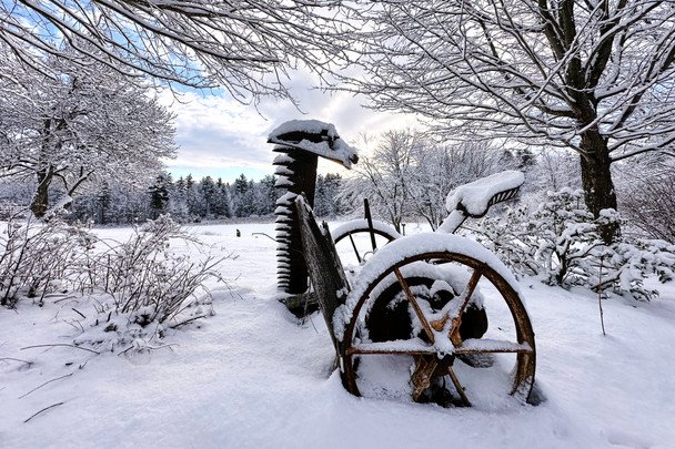 США накрили рекордні снігопади: влада оголосила надзвичайний стан