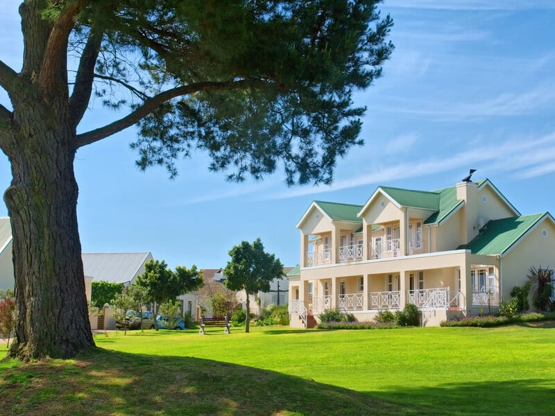 Повіє вітер – і вони можуть впасти будь-якої миті. Назвали три дерева, яким не місце біля будинку