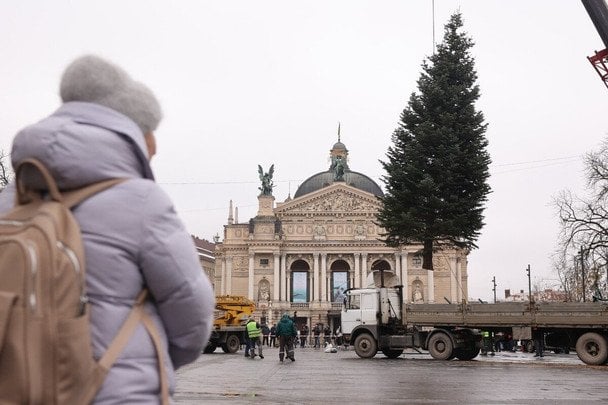У Львові встановили головну ялинку: який вигляд має дерево та його історія