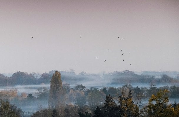 Тумани і +12: 2 грудня Україну накриє "тепла мряка" (мапа)