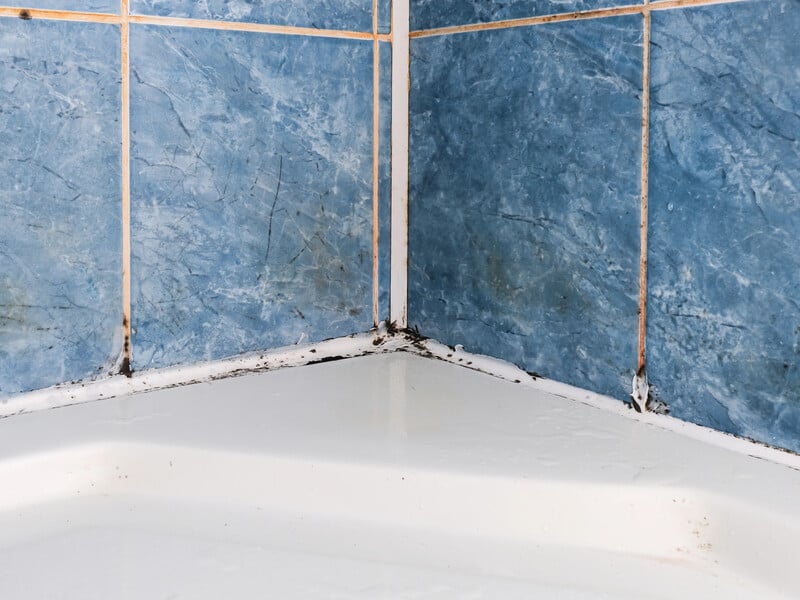 Змочіть вату в цьому аптечному препараті – і від плісняви не залишиться і сліду. Порада, яка не підведе Змочіть вату в цьому аптечному препараті – і від плісняви не залишиться і сліду. Порада, яка не підведе