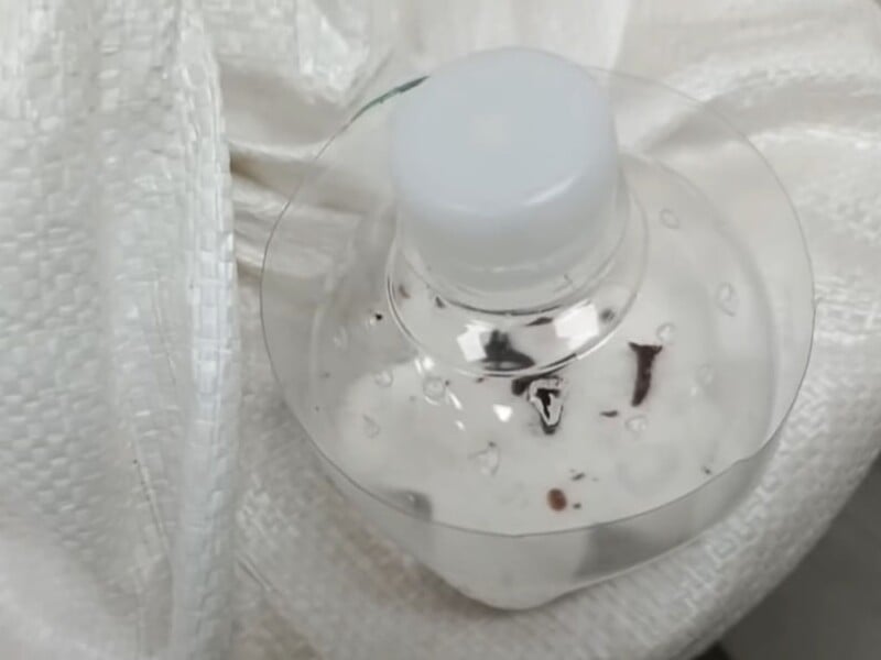 Змішайте це із сіллю – й за три дні від молі не буде й сліду. Ефективний лайфхак без хімії