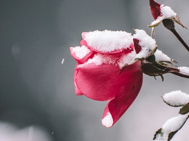 Прогноз погоди на 9 грудня: мокрий сніг і дощ на сході, тумани та пориви вітру (мапа)