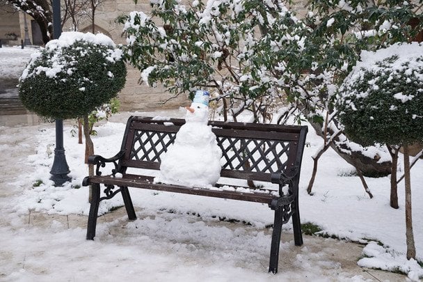 Місячний посівний календар на грудень 2025: сприятливі дні, що можна садити та городні поради