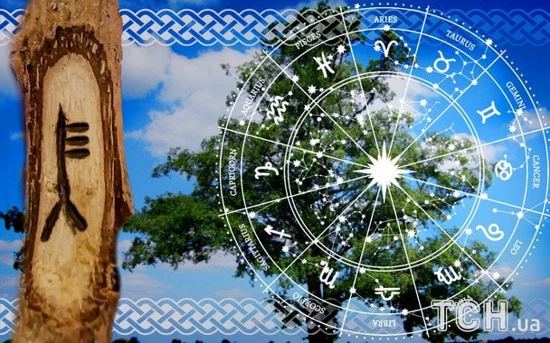 Кельтський гороскоп дерев на 4 грудня 2025 року: день інтуїції, м’якої сили та емоційної ясності Кельтський гороскоп дерев на 4 грудня 2025 року: день інтуїції, м’якої сили та емоційної ясності