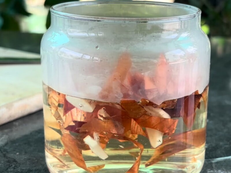 Залийте це окропом – і орхідея почне активно відновлюватися. Простий спосіб реанімації рослин Залийте це окропом – і орхідея почне активно відновлюватися. Простий спосіб реанімації рослин