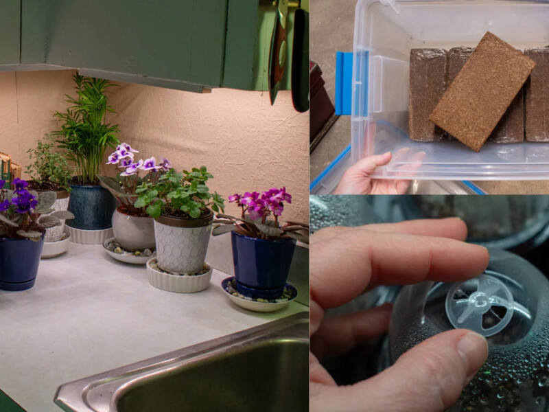 П'ять речей, які мають бути в домі, якщо у вас є кімнатні рослини, – це полегшить догляд П'ять речей, які мають бути в домі, якщо у вас є кімнатні рослини, – це полегшить догляд