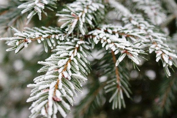 Україну охоплять похолодання і нічні морози: прогноз погоди на 6-7 грудня