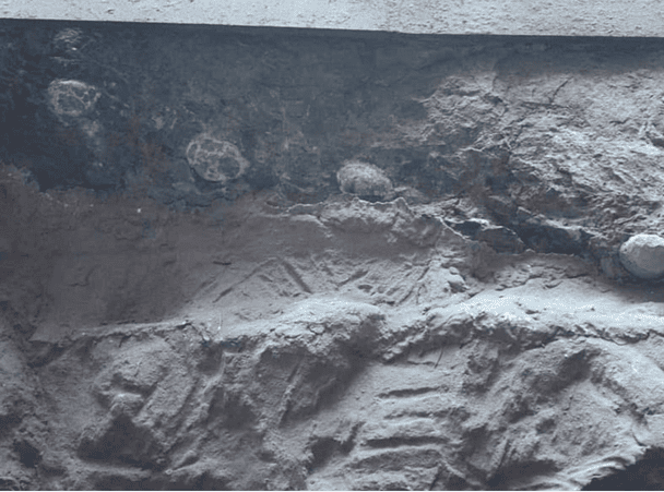 Вчені знайшли незвичні яйця динозаврів, заповнені гігантськими кристалами: що це таке