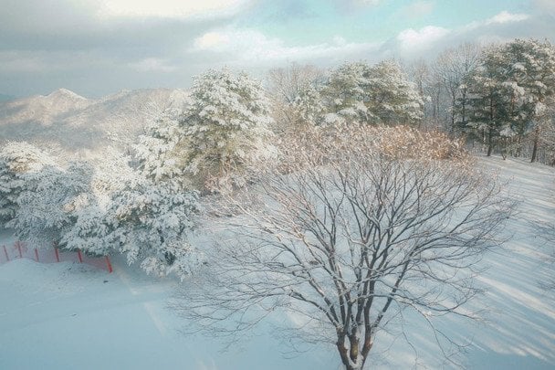 Сніг, хуртовини та штормовий вітер: погода на 29 грудня