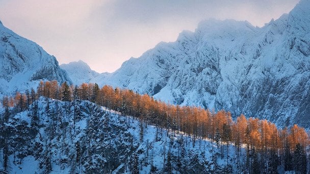 Прогноз на 21 грудня: як зміниться погода