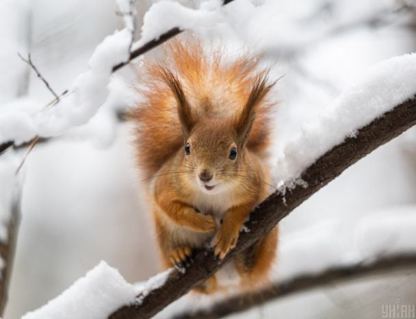 Жовтий рівень: в Укргідрометцентрі попередили про небезпечну погоду