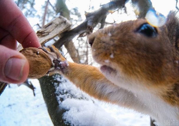 Погода в Україні: синоптикиня розповіла, чи чекати цього тижня на сніг і морози