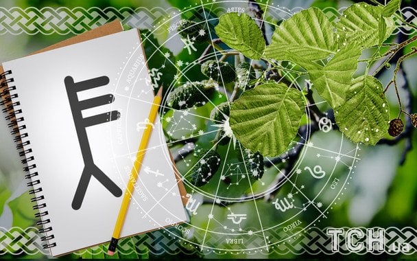 Кельтський гороскоп дерев на 8 грудня 2025 року: день рішень, емоційної ясності та нових орієнтирів