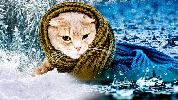 Останній понеділок року здивує погодою: синоптикиня попередила про наближення лютих морозів Останній понеділок року здивує погодою: синоптикиня попередила про наближення лютих морозів