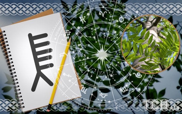 Кельтський гороскоп дерев на 30 грудня 2025 року: день внутрішньої тиші перед новим порогом