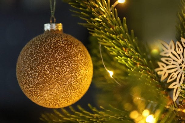 Скільки коштують живі та штучні ялинки цьогоріч та де купити дешевше — огляд цін