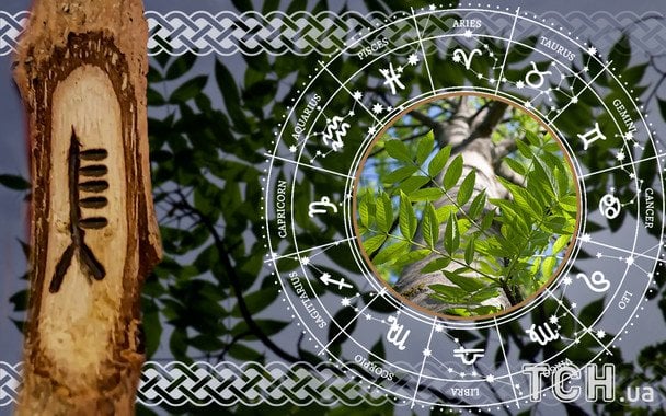Кельтський гороскоп дерев на 24 грудня 2025 року: день тиші, тепла і внутрішнього дому