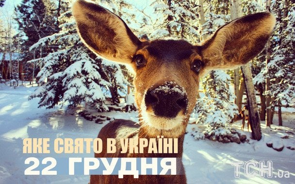 Яке сьогодні, 22 грудня, свято — все про цей день, яке церковне свято Яке сьогодні, 22 грудня, свято — все про цей день, яке церковне свято