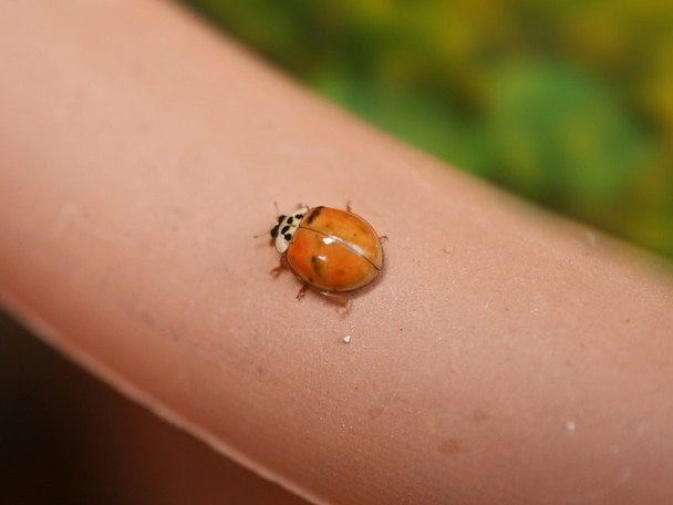 Якщо ви народилися в одну з цих чотирьох дат — успіх у житті майже гарантований