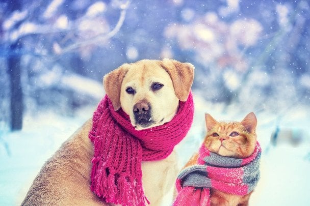 Південний циклон зумовить різке погіршення погоди в Україні: прогноз