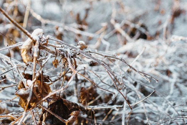 Мінус 20 та крига на дорогах: синоптикиня попередила про складну погоду вихідними