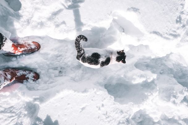 Україну накриє нова хвиля холоду: метеорологиня назвала дати