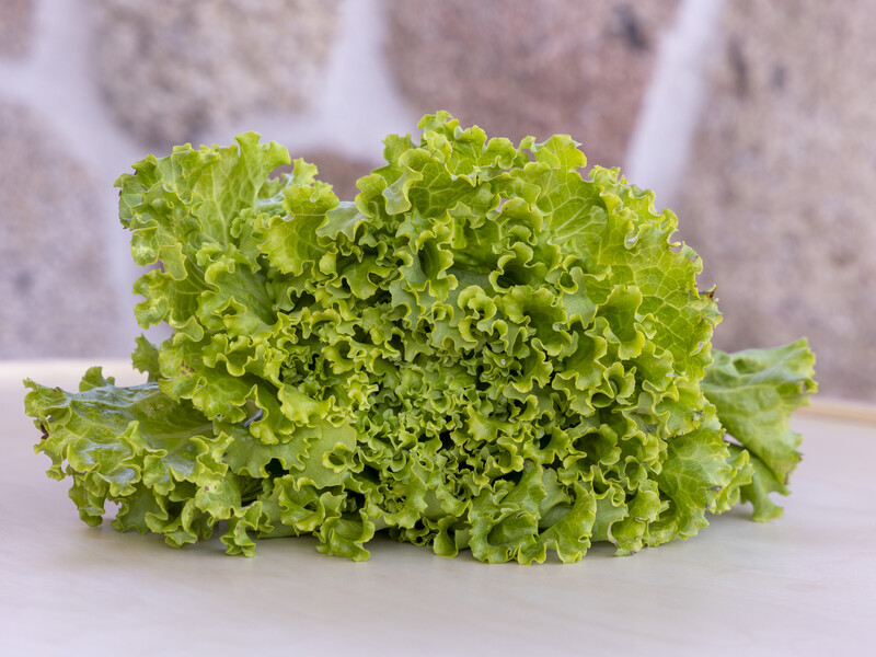 Завдяки цим етапам у догляді листя салату буде соковитим і без гіркоти