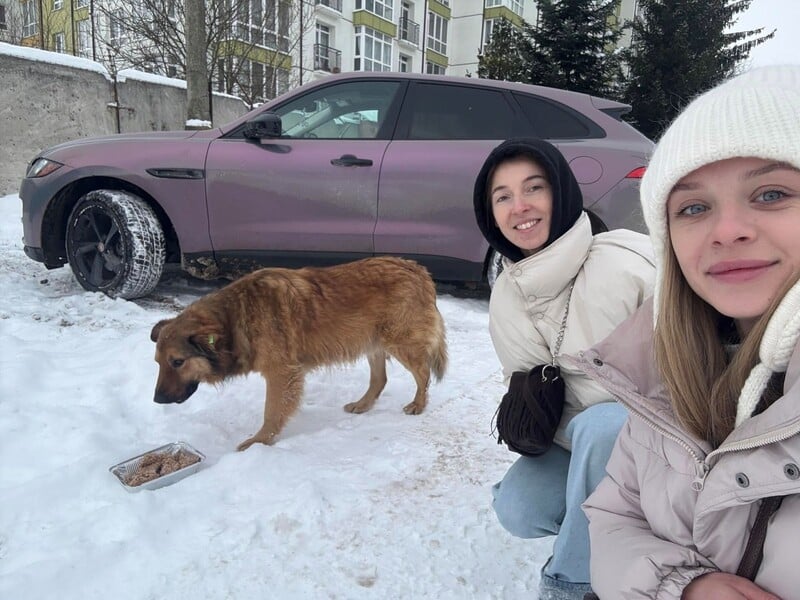 У Франківську волонтерка на Jaguar розвозить їжу для безпритульних собак