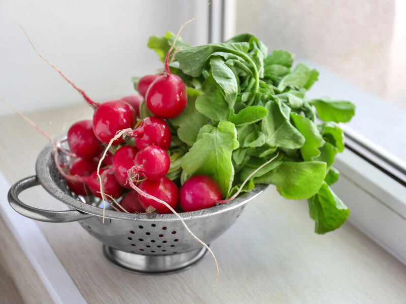 Викладіть це на дно контейнера – і вдома в лютому на підвіконні виросте смачна й солодка редиска